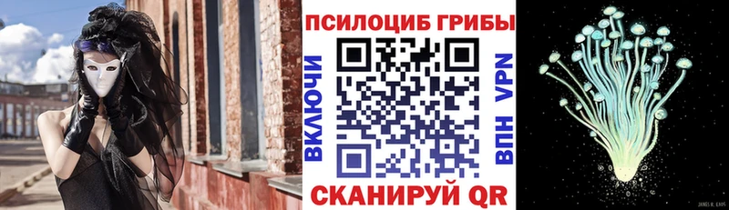 МЕГА   Томмот  Галлюциногенные грибы GOLDEN TEACHER 